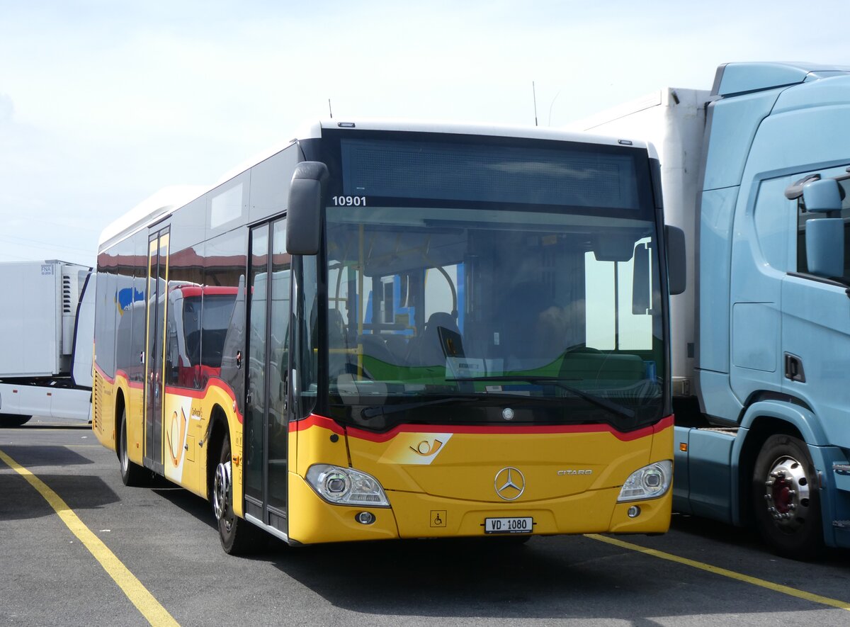 (265'415) - CarPostal Ouest - VD 1080/PID 10'901 - Mercedes (ex TPB, S�deilles) am 4. August 2024 in Kerzers, Interbus