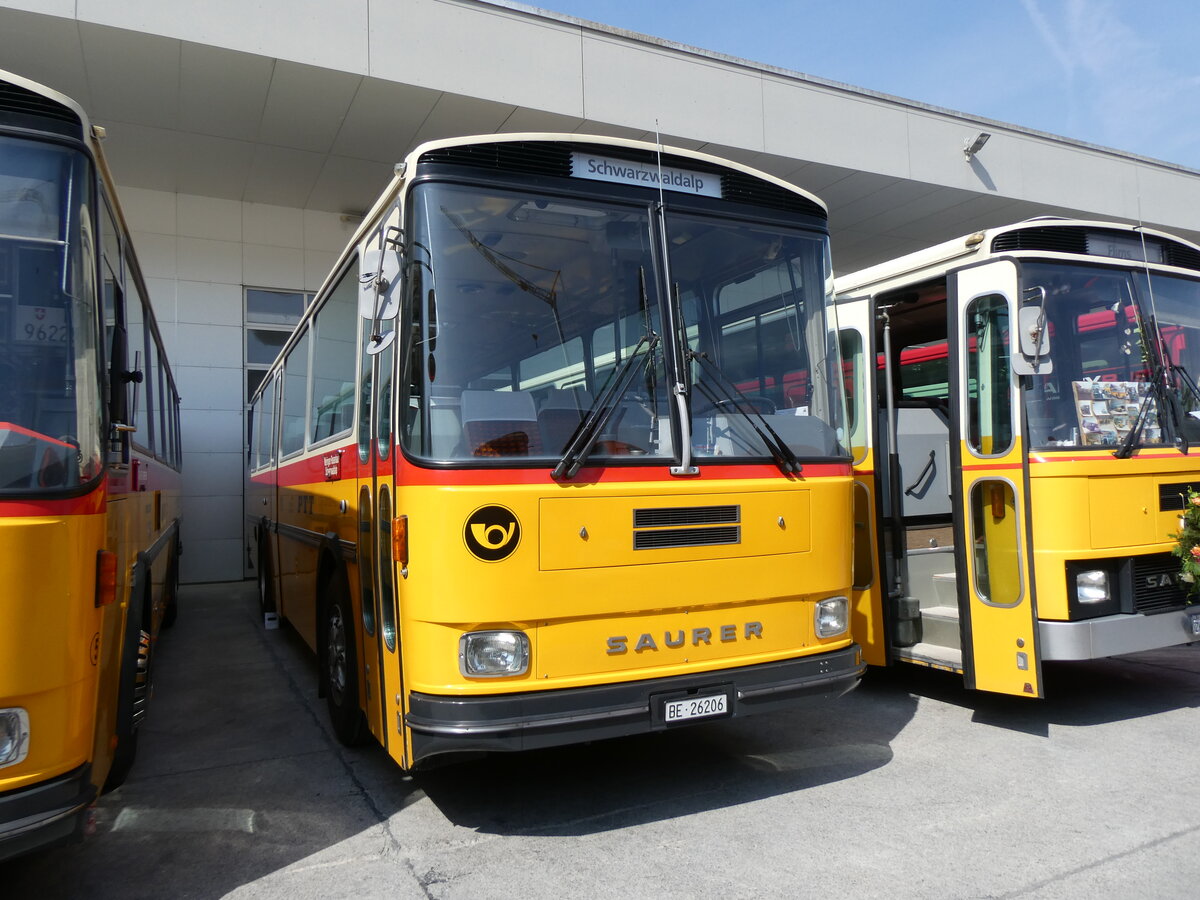 (266'347) - Schmid, Th�rishaus - BE 26'206 - Saurer/T�scher (ex P24'244) am 31. August 2024 in Oberkirch, CAMPUS Sursee