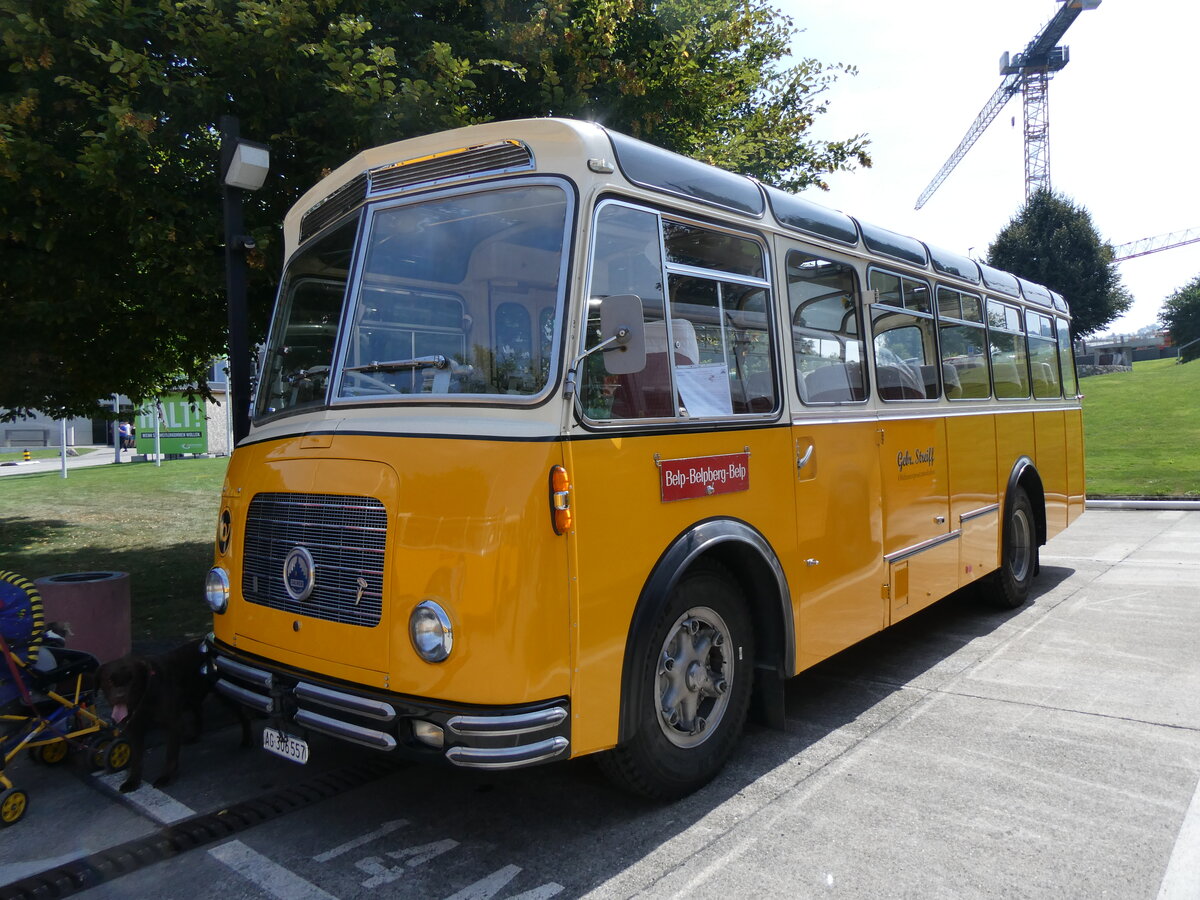 (266'412) - Streiff, Gelterkinden - AG 306'557 - Saurer/Gangloff (ex Oldie-Tours Z�risee, Wollerau; ex OTAG, Wald; ex Leibundgut, Obergoldbach; ex Krebs, Belpberg) am 31. August 2024 in Oberkirch, CAMPUS Sursee