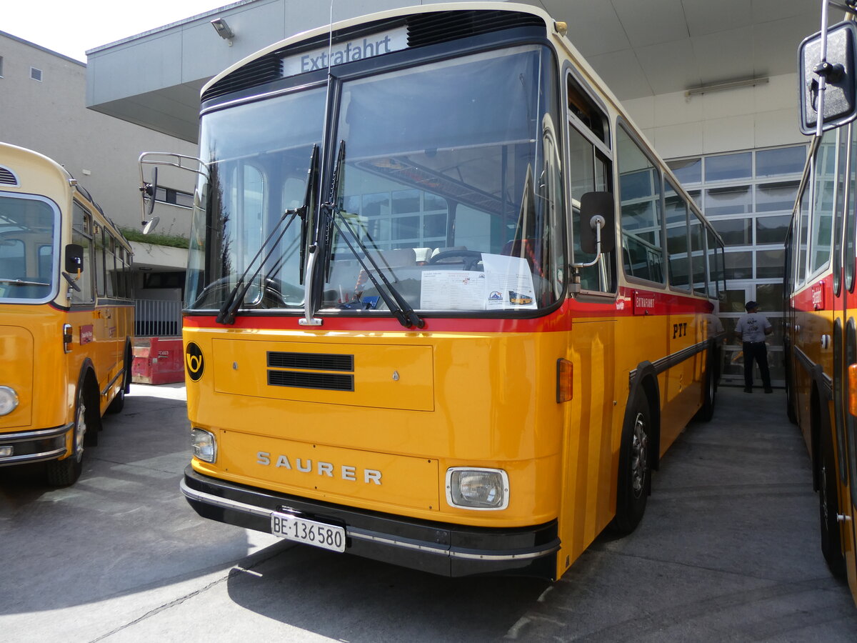 (266'427) - Schumacher, Liebefeld - BE 136'580 - Saurer/T�scher (ex Zimmermann, Niederwangen; ex P 24'289) am 31. August 2024 in Oberkirch, CAMPUS Sursee