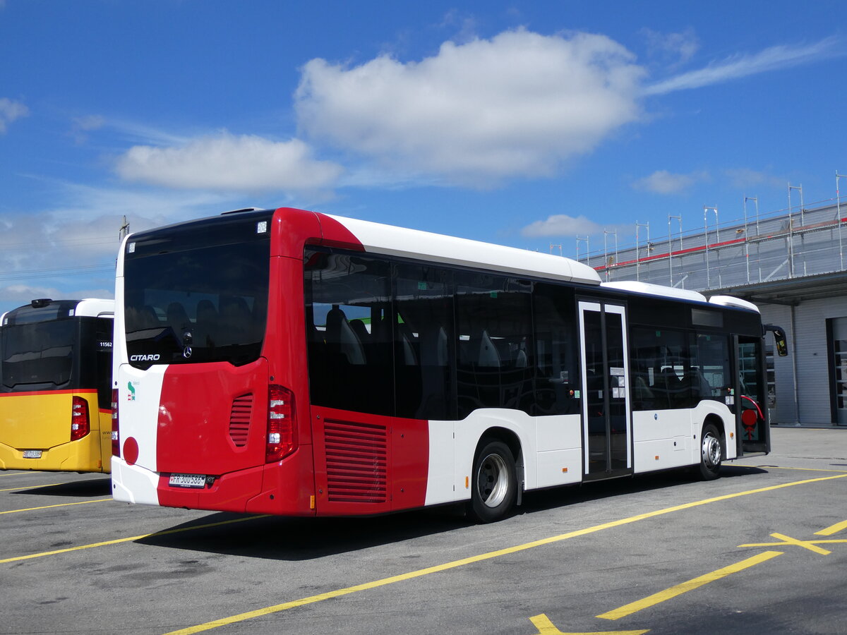 (266'690) - Wieland, Murten - Nr. 117/FR 300'586 - Mercedes am 6. September 2024 in Kerzers, Interbus