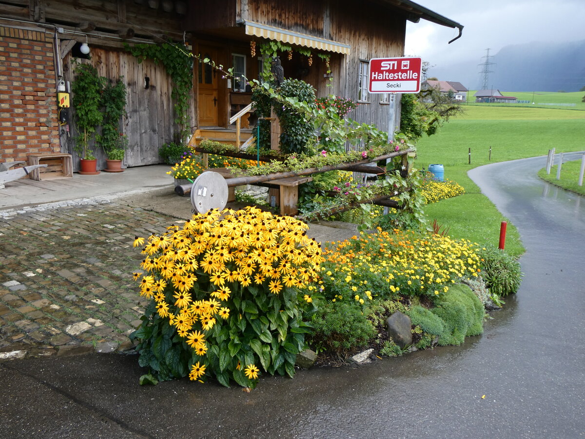 (266'950) -  STI-Haltestelle Uebeschi, Secki  am 13. September 2024 in Blumenstein, Tannenb�hl