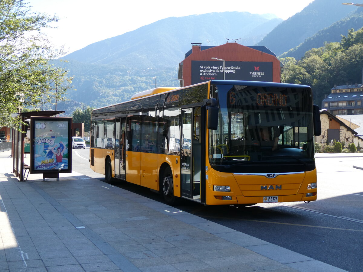 (267'274) - Coopalsa, Andorra la Vella - P6376 - MAN am 19. September 2024 in Andorra la Vella, Estaci� Nacional Autobusos 