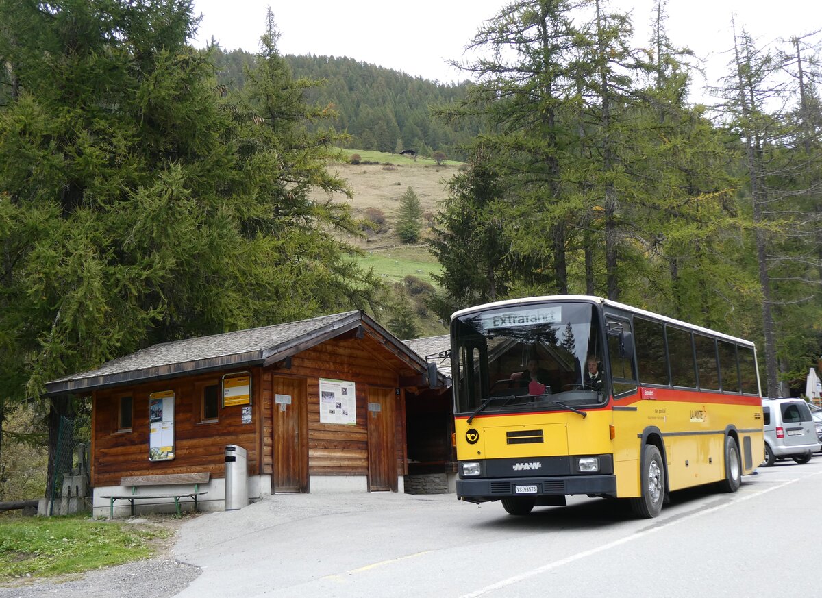 (267'769) - Oser, B�rchen - VS 93'575 - NAW/Lauber (ex Epiney, Ayer PID 1076) am 6. Oktober 2024 in Binn, F�ld