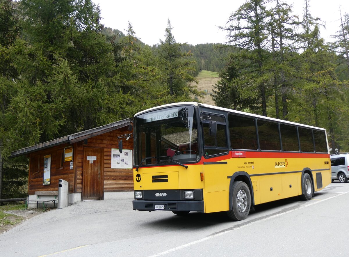 (267'770) - Oser, B�rchen - VS 93'575 - NAW/Lauber (ex Epiney, Ayer PID 1076) am 6. Oktober 2024 in Binn, F�ld