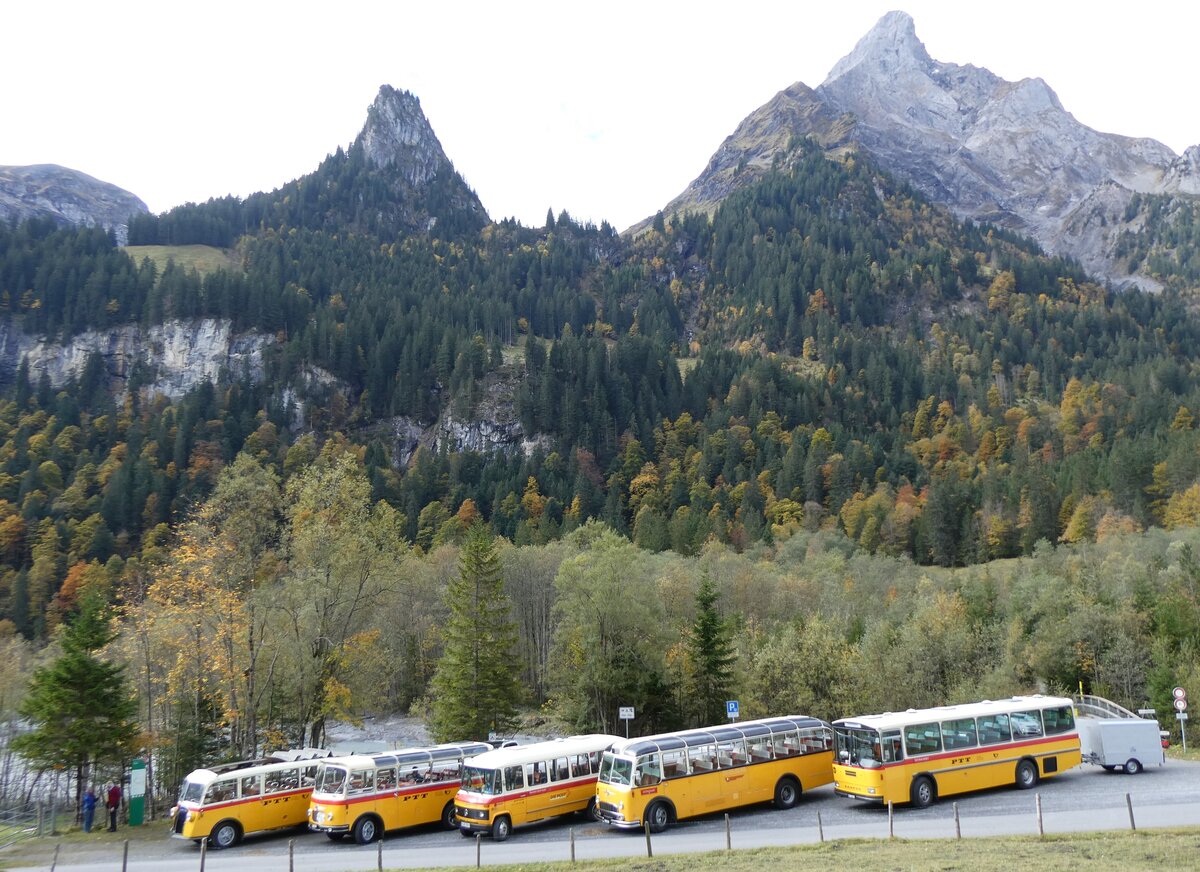 (268'043) - Schmid, Th�rishaus - BE 26'206 - Saurer/T�scher (ex P 24'244) am 12. Oktober 2024 in Kiental, Tschingelsee