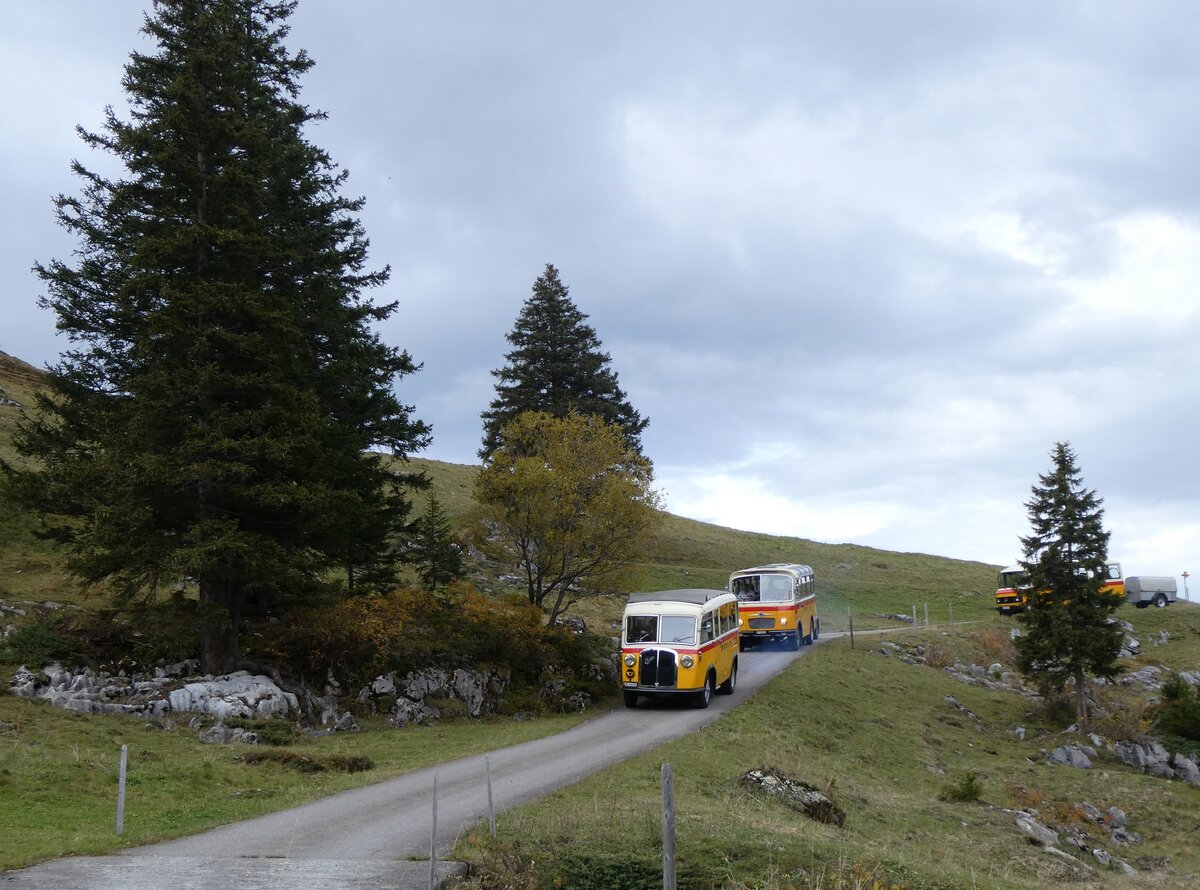 (268'119) - Schmid, Th�rishaus - Nr. 3/BE 26'760 - Saurer/Gangloff (ex Geiger, Adelboden Nr. 3) am 12. Oktober 2024 bei der Bundalp