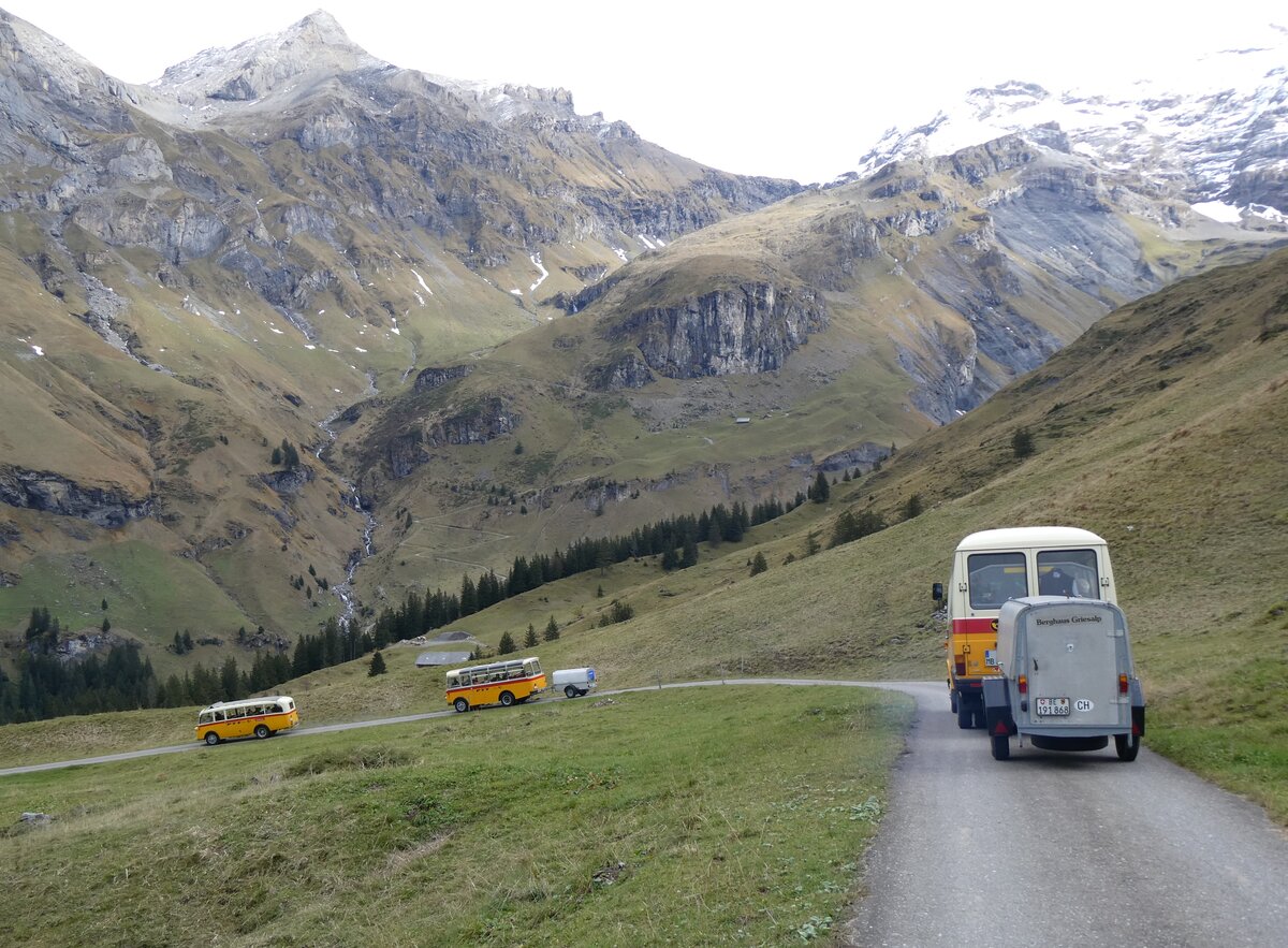 (268'128) - Schmid, Th�rishaus - Nr. 3/BE 26'760 - Saurer/Gangloff (ex Geiger, Adelboden Nr. 3) + Nr. 9/BE 26'105 - Saurer/R&J (ex Geiger, Adelboden Nr. 9) + aus Deutschland: Hahn, M�nchen - Nr. 6/M-MB 309H - Mercedes (ex M�ller, CH-Ennetmoos Nr. 6; ex Portenier, CH-Adelboden Nr. 6/PID 492; ex Geiger, CH-Adelboden Nr. 6) am 12. Oktober 2024 bei der Bundalp