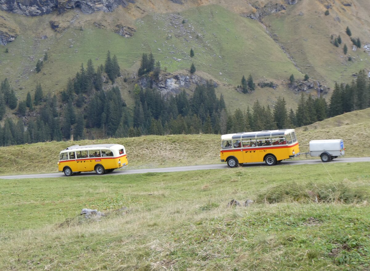 (268'129) - Schmid, Th�rishaus - Nr. 3/BE 26'760 - Saurer/Gangloff (ex Geiger, Adelboden Nr. 3) + Nr. 9/BE 26'105 - Saurer/R&J (ex Geiger, Adelboden Nr. 9) am 12. Oktober 2024 bei der Bundalp