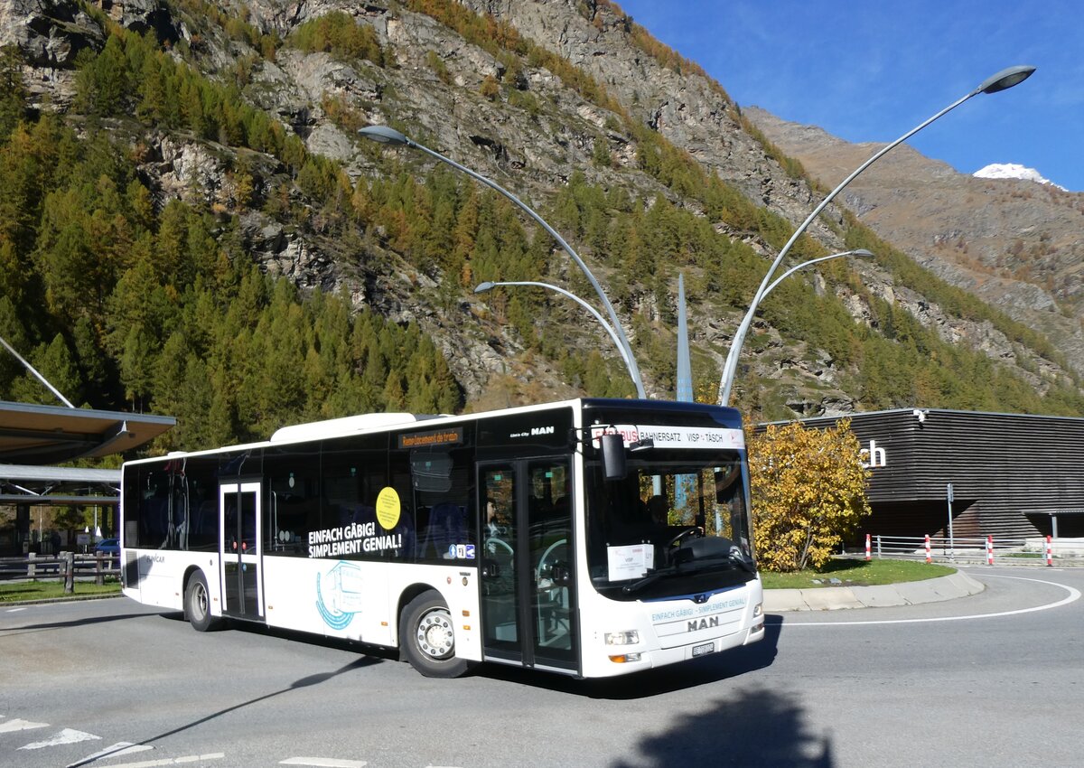 (268'338) - Funi-Car, Biel - Nr. 24/BE 708'024 - MAN am 21. Oktober 2024 beim Bahnhof T�sch