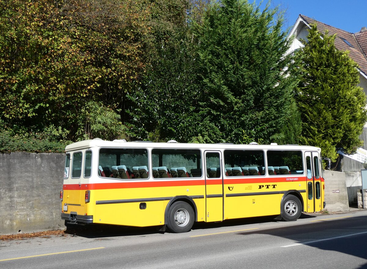 (268'432) - Schmid, Th�rishaus - BE 26'206 - Saurer/T�scher (ex P 24'244) am 25. Oktober 2024 in Zwingen, Restaurant Waldeck