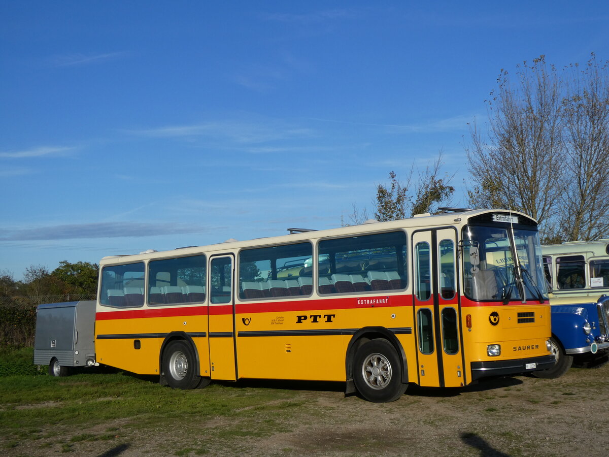 (268'440) - Aus der Schweiz: Schmid, Th�rishaus - BE 26'206 - Saurer/T�scher (ex P 24'244) am 25. Oktober 2024 in Kintzheim, Cigoland