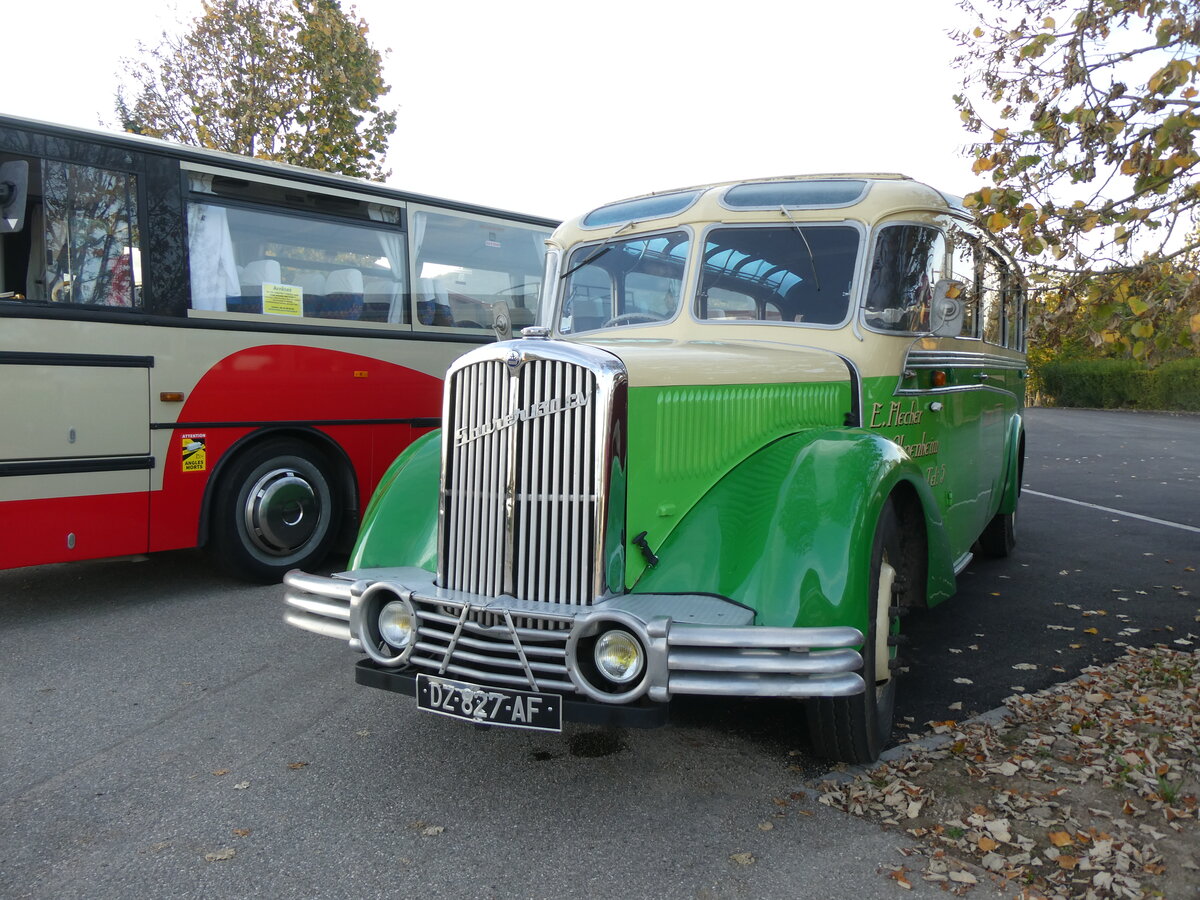 (268'445) - Flecher, Ohnenheim - DZ 827 AF - Saurer/Gangloff Colmar (ex Josy Tourisme, Russ; ex Astra Voyages, Strasbourg; ex Wagner, Cleebourg; ex Astra Voyages, Strasbourg) am 25. Oktober 2024 in Kintzheim, Cigoland