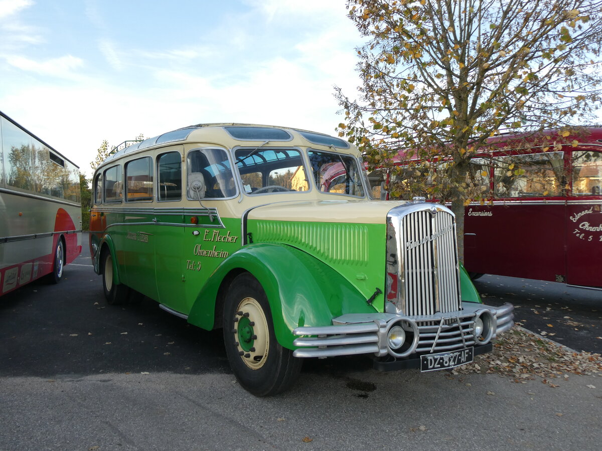 (268'446) - Flecher, Ohnenheim - DZ 827 AF - Saurer/Gangloff Colmar (ex Josy Tourisme, Russ; ex Astra Voyages, Strasbourg; ex Wagner, Cleebourg; ex Astra Voyages, Strasbourg) am 25. Oktober 2024 in Kintzheim, Cigoland