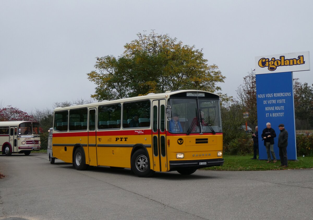 (268'605) - Aus der Schweiz: Schmid, Th�rishaus - BE 26'206 - Saurer/T�scher (ex P 24'244) am 26. Oktober 2024 in Kintzheim, Cigoland