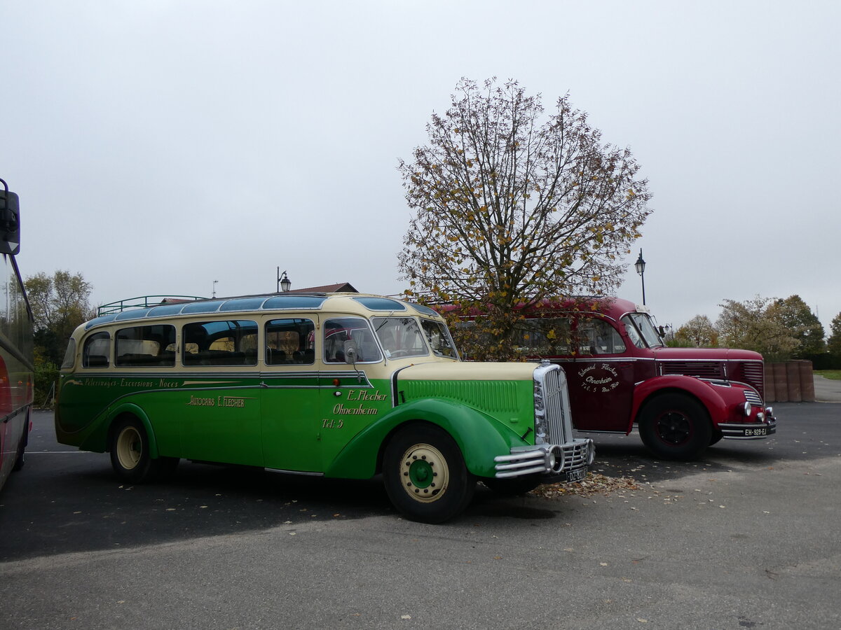 (268'716) - Flecher, Ohnenheim - DZ 827 AF - Saurer/Gangloff Colmar (ex Josy Tourisme, Russ; ex Astra Voyages, Strasbourg; ex Wagner, Cleebourg; ex Astra Voyages, Strasbourg) am 27. Oktober 2024 in Kintzheim, Cigoland
