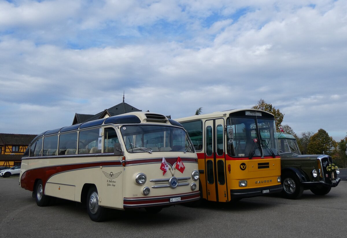 (268'735) - Aus der Schweiz: Ballestraz, Gr�ne - VS 11'615 - Saurer/Saurer (ex Girardet, Yverdon) am 27. Oktober 2024 in Kintzheim, Cigoland