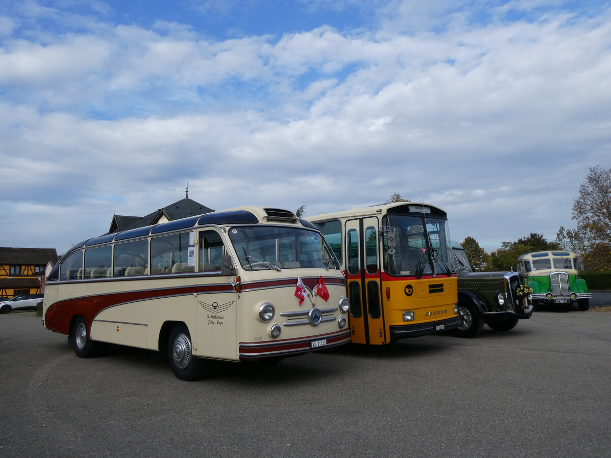 (268'736) - Aus der Schweiz: Ballestraz, Gr�ne - VS 11'615 - Saurer/Saurer (ex Girardet, Yverdon) am 27. Oktober 2024 in Kintzheim, Cigoland