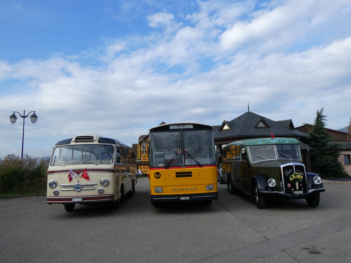 (268'740) - Aus der Schweiz: Ballestraz, Gr�ne - VS 11'615 - Saurer/Saurer (ex Girardet, Yverdon) + Schmid, Th�rishaus - BE 26'206 - Saurer/T�scher (ex P 24'244) + Lorenz, Lyssach - BE 2548 U - Saurer/Saurer (ex Geiger, Adelboden Nr. 8; ex P 1997) am 27. Oktober 2024 in Kintzheim, Cigoland