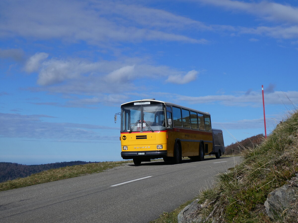 (268'757) - Aus der Schweiz: Schmid, Th�rishaus - BE 26'206 - Saurer/T�scher (ex P 24'244) am 27. Oktober 2024 bei Rothenbach