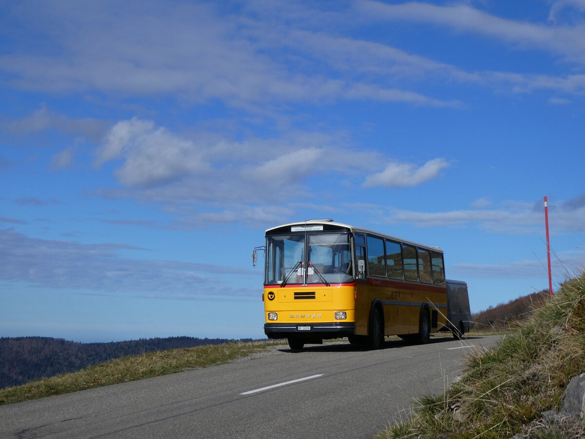 (268'758) - Aus der Schweiz: Schmid, Th�rishaus - BE 26'206 - Saurer/T�scher (ex P 24'244) am 27. Oktober 2024 bei Rothenbach