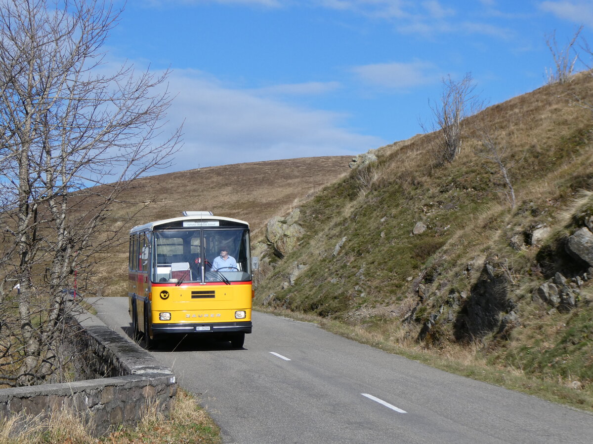 (268'761) - Aus der Schweiz: Schmid, Th�rishaus - BE 26'206 - Saurer/T�scher (ex P 24'244) am 27. Oktober 2024 bei Rothenbach
