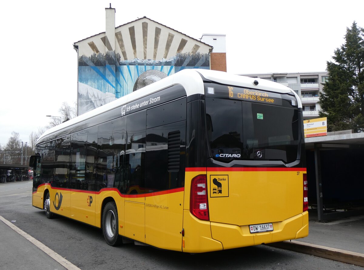 (269'771) - H�fliger, Sursee - Nr. 37/OW 16'637/PID 12'021 - eMercedes (ex vermietet an PostAuto Zentralschweiz Nr. 537) am 10. Dezember 2024 beim Bahnhof Sursee