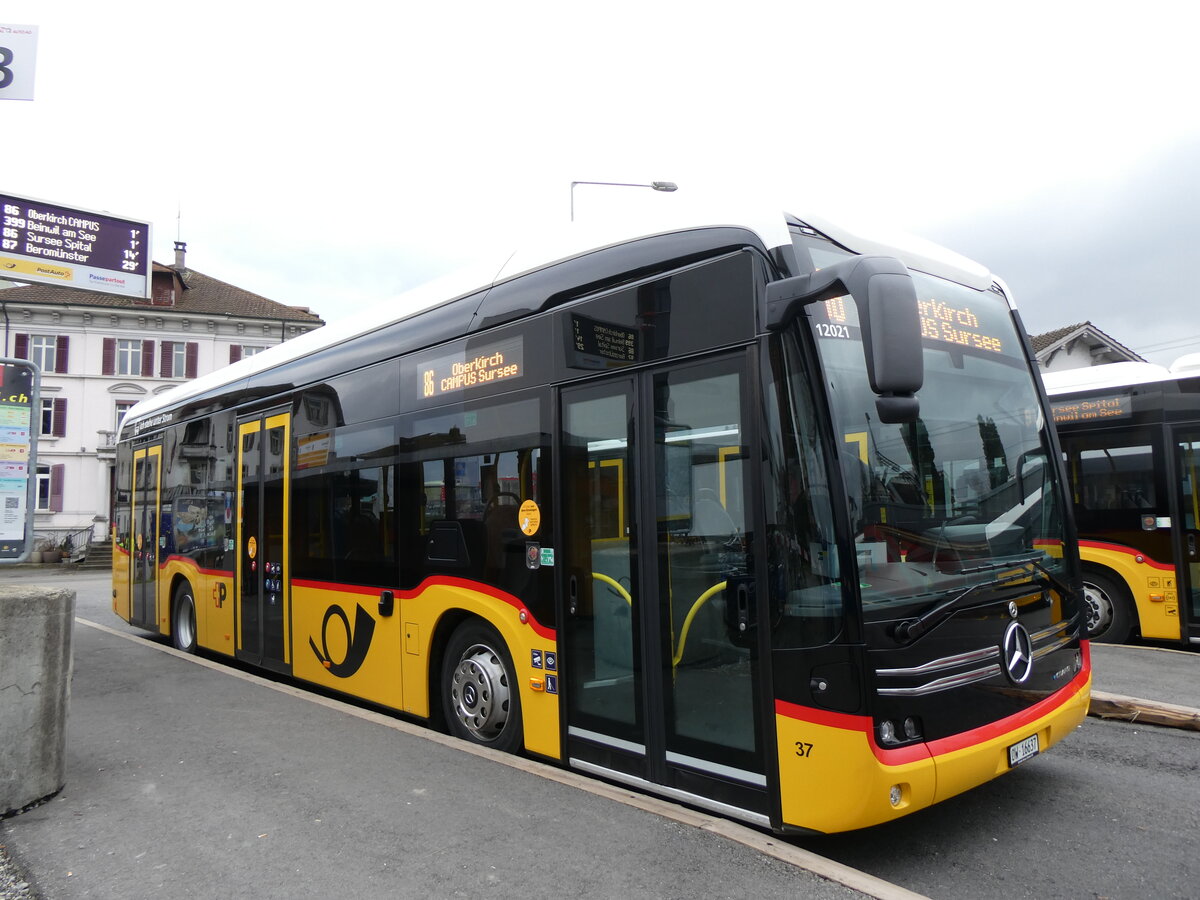 (269'772) - H�fliger, Sursee - Nr. 37/OW 16'637/PID 12'021 - eMercedes (ex vermietet an PostAuto Zentralschweiz Nr. 537) am 10. Dezember 2024 beim Bahnhof Sursee