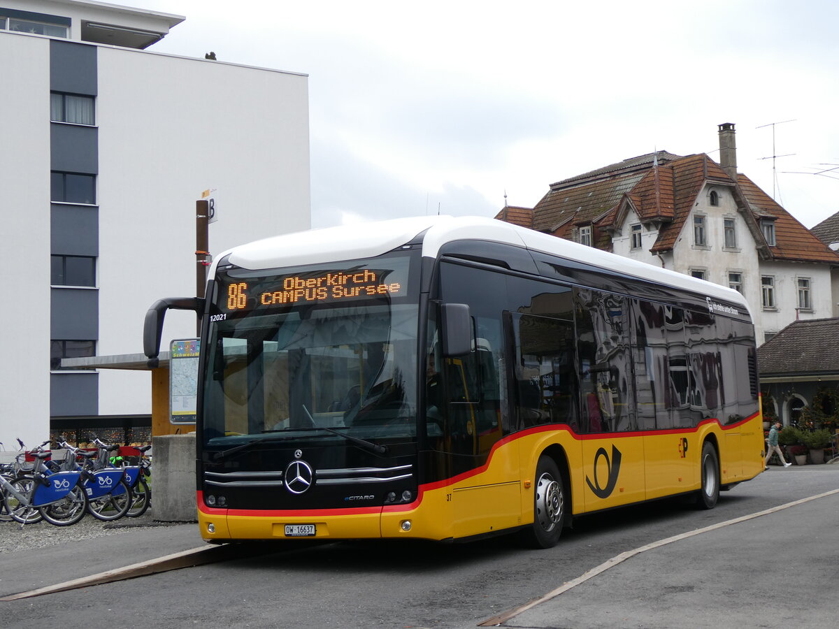 (269'774) - H�fliger, Sursee - Nr. 37/OW 16'637/PID 12'021 - eMercedes (ex vermietet an PostAuto Zentralschweiz Nr. 537) am 10. Dezember 2024 beim Bahnhof Sursee