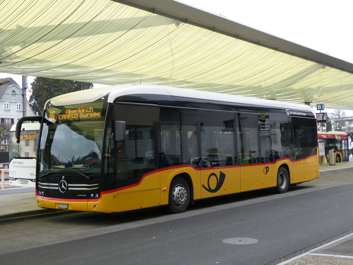 (271'690) - H�fliger, Sursee - Nr. 37/LU 297'459/PID 12'021 - eMercedes (ex vermietet an PostAuto Zentralschweiz Nr. 537) am 7. Februar 2025 beim Bahnhof Sursee