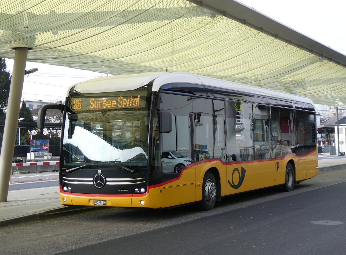 (271'694) - H�fliger, Sursee - Nr. 37/LU 297'459/PID 12'021 - eMercedes (ex vermietet an PostAuto Zentralschweiz Nr. 537) am 7. Februar 2025 beim Bahnhof Sursee