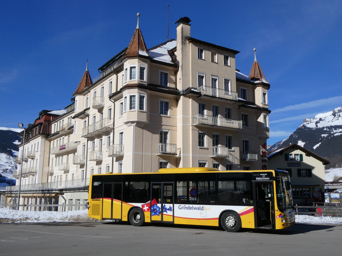 (272'176) - GrindelwaldBus, Grindelwald - Nr. 14/BE 202'568 - MAN/G�ppel am 17. Februar 2025 beim Bahnhof Grindelwald