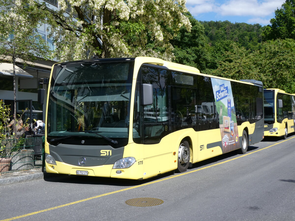 (275'621) - STI Thun - Nr. 175/BE 752'175 - Mercedes am 16. Mai 2025 bei der Schiffl�ndte Thun