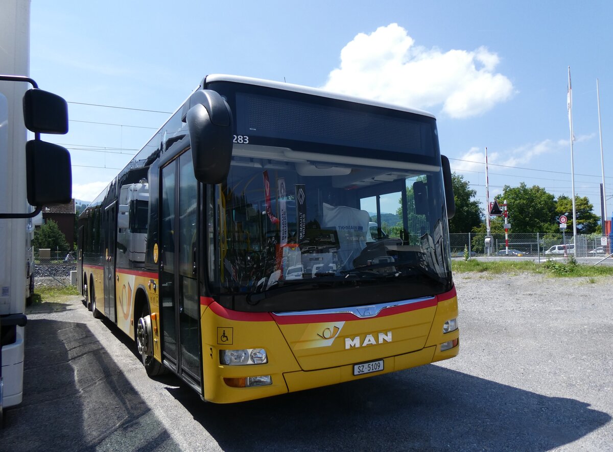 (276'818) - PostAuto Ostscheiz - SZ 5109/PID 10'283 - MAN (ex Lienert&Ehrler, Einsiedeln) am 17. Juni 2025 in Schmerikon, Thomann
