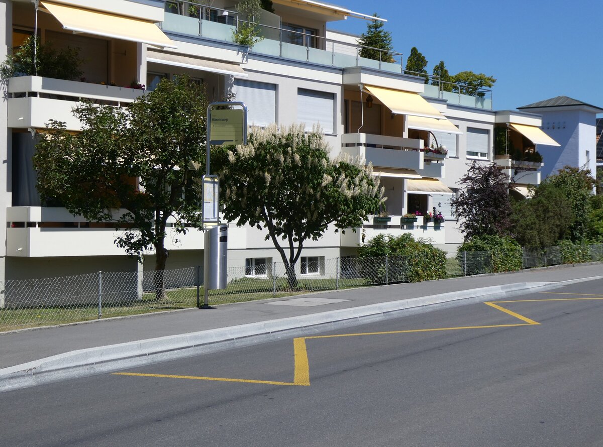 (277'347) - STI-Haltestelle am 29. Juni 2025 in Thun, H�nnisweg