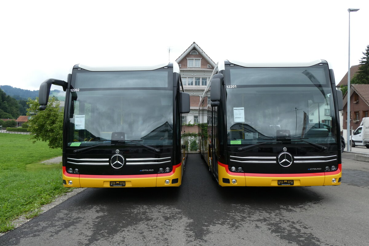 (278'023) - PostAuto Ostschweiz - PID 12'202 1 PID 12'201 - eMercedes am 25. Juli 2025 in Nesslau, Altherr