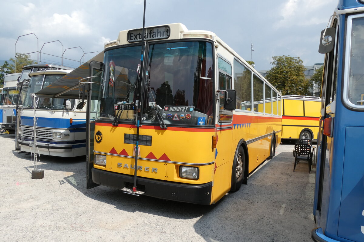 (279'019) - Toldo, Z�rich - ZH 124'701 - Saurer/R&J (ex Peter, Pfaffnau) am 16. August 2025 in Solothurn, Baseltor