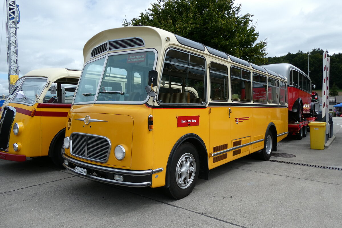(279'643) - R�ber, Mettmenstetten - ZH 546'297 - FBW/Gangloff (ex P 23'202; ex P 21'002) am 30. August 2025 in Oberkirch, CAMPUS Sursee