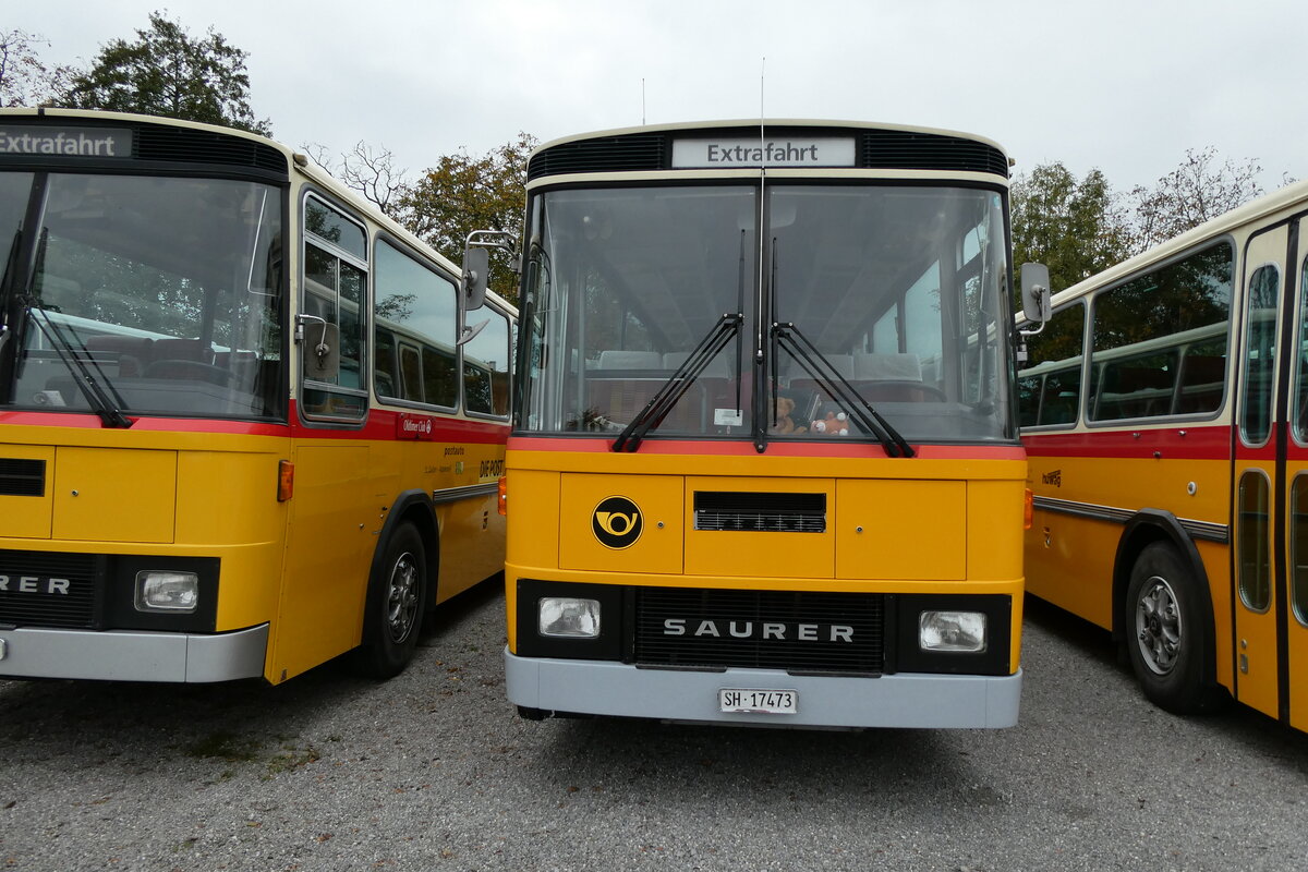 (281'425) - Ruklic, Schaffhausen - SH 17'473 - Saurer/T�scher (ex Schett, Sargans PID 2762) am 12. Oktober 2025 in Hitzkirch, Interkantonale Polizeischule