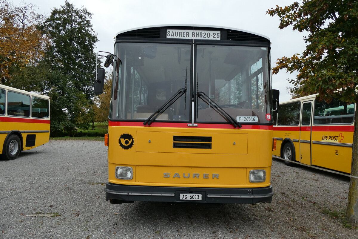 (281'428) - Gloor, Staufen - AG 6013 - Saurer/Hess (ex ALMAT, Tagelswangen; ex P 26'516) am 12. Oktober 2025 in Hitzkirch, Interkantonale Polizeischule