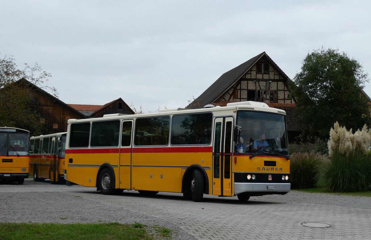 (281'452) - Stolz, Niederb�ren - SG 452'875 - Saurer/R&J (ex Soltermann, Bichwil; ex Ziegler, Pratteln; ex Tanner, Bubendorf; ex Schnider, Sch�pfheim) am 12. Oktober 2025 in Hitzkirch, Interkantonale Polizeischule