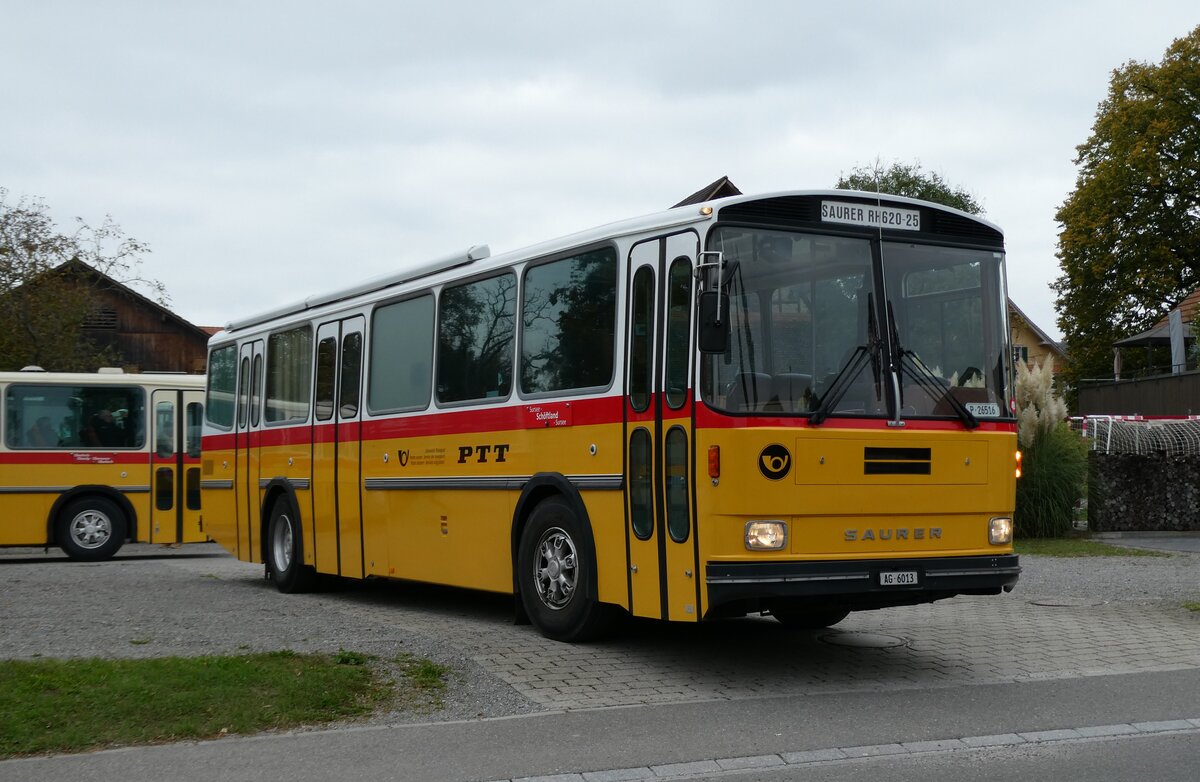 (281'466) - Gloor, Staufen - AG 6013 - Saurer/Hess (ex ALMAT, Tagelswangen; ex P 26'516) am 12. Oktober 2025 in Hitzkirch, Interkantonale Polizeischule