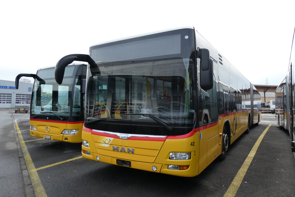 (284'257) - SB Trans, Sursee - Nr. 42/PID 10'564 - MAN (ex Stirnimann, Neuenkirch Nr. 42) am 17. Januar 2026 in Kerzers, Interbus