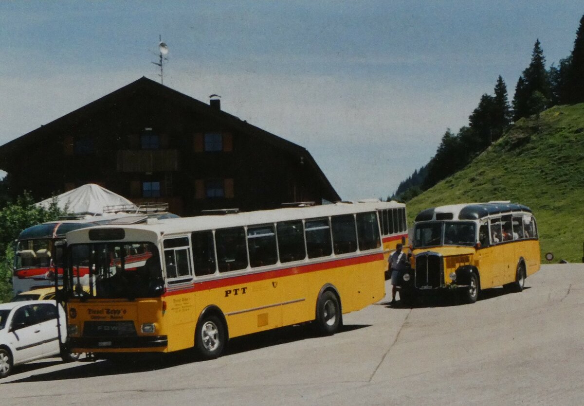 (MD500) - Aus dem Archiv: Wespe, Altst�tten - FBW/T�scher (ex P 24'800) im Jahr 2003