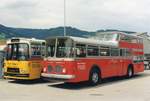 (MD081) - Aus dem Archiv: Wespe, Altst�tten - Nr.