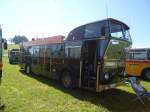 (141'171) - Schneider, Schmerikon - SG 13'934 - FBW/T�scher Hochlenker (ex Basler, Hofstetten; ex VBZ Z�rich Nr.