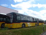 (217'852) - CarPostal Ouest - VD 495'031 - MAN am 13.