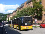 (226'619) - Steffen, Remetschwil - Nr.