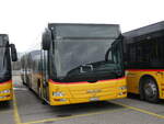(230'603) - CarPostal Ouest - JU 53'407 - MAN (ex Nr.