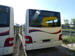 (235'586) - PostAuto Nordschweiz - (NE 165'371) - MAN (ex AG 271'181) am 15.